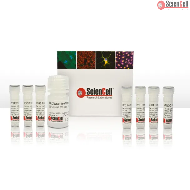 Human Stem Cell Pluripotency Detection qPCR Kit