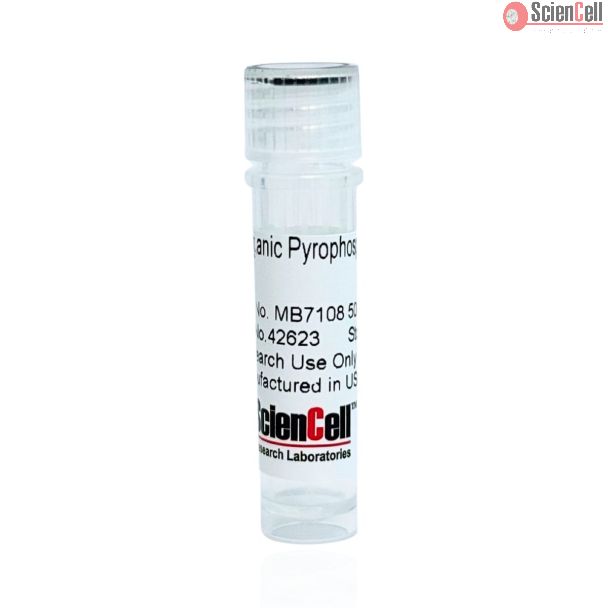 Inorganic Pyrophosphatase (Yeast)