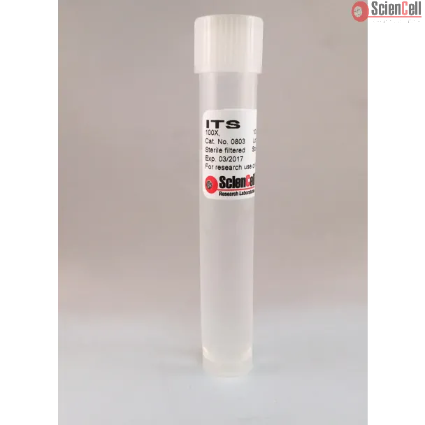 Insulin Transferrin Selenium (100X)