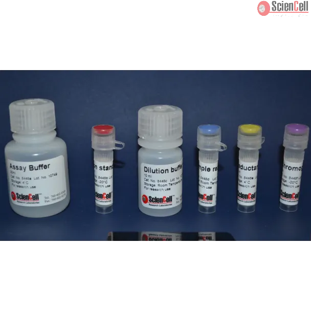 Iron Assay