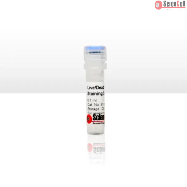 Live/Dead Cell Staining Kit