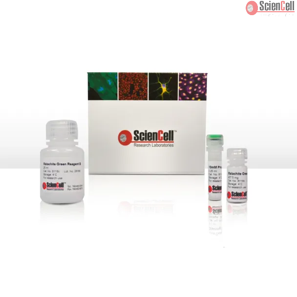 Malachite Green Phosphate Assay