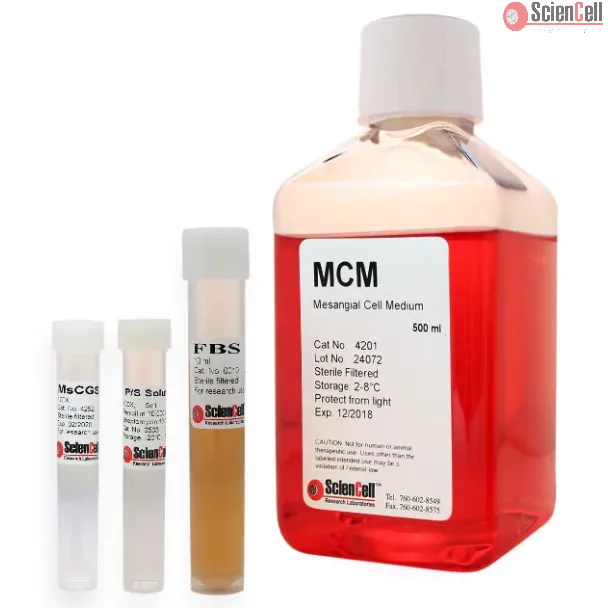 Mesangial Cell Medium