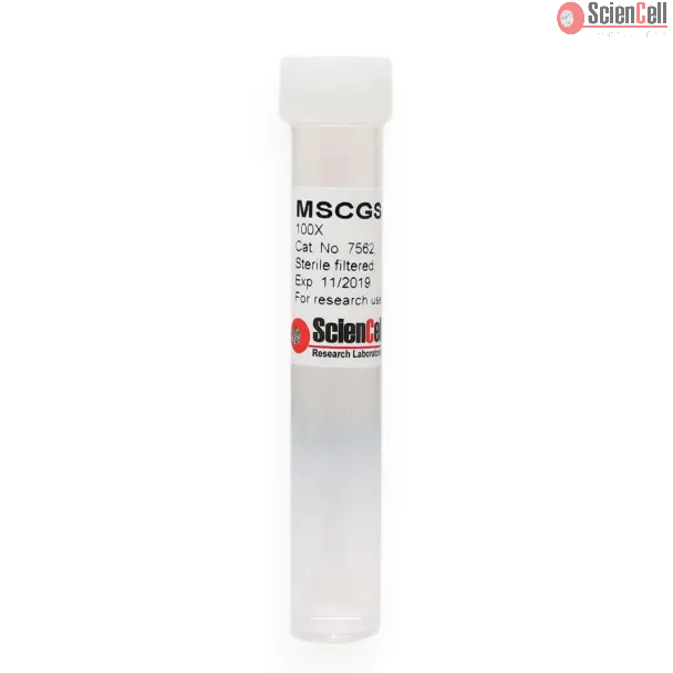 Mesenchymal Stem Cell Growth Supplement-serum free