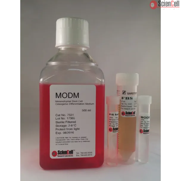 Mesenchymal Stem Cell Osteogenic Differentiation Medium (MODM)