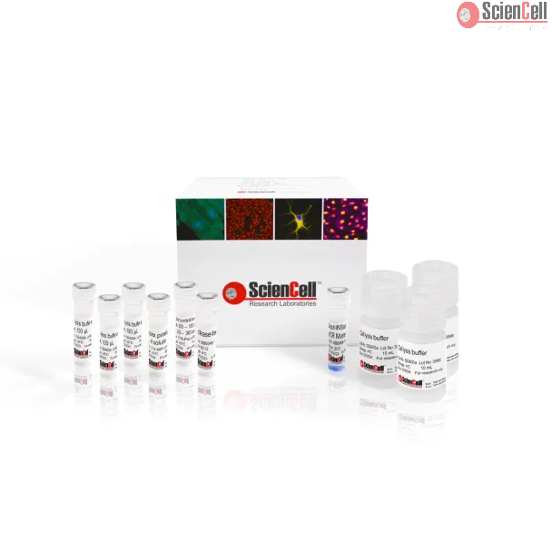 Monkeypox Virus Multiplex qPCR Detection Kit
