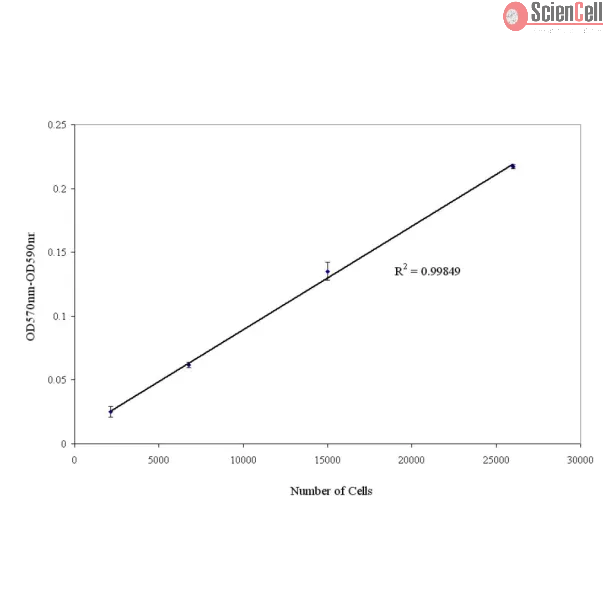 MTT Cell Viability & Proliferation Assay