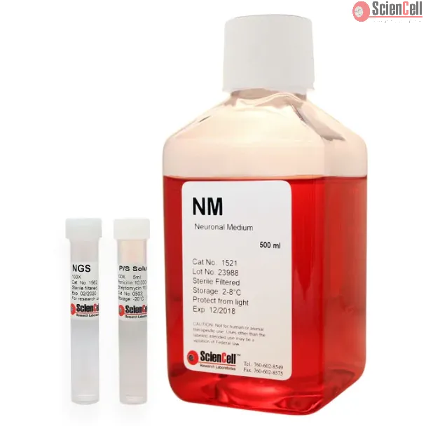 Neuronal Medium