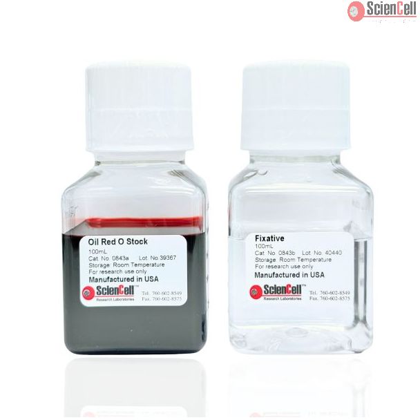Oil Red O Staining Kit