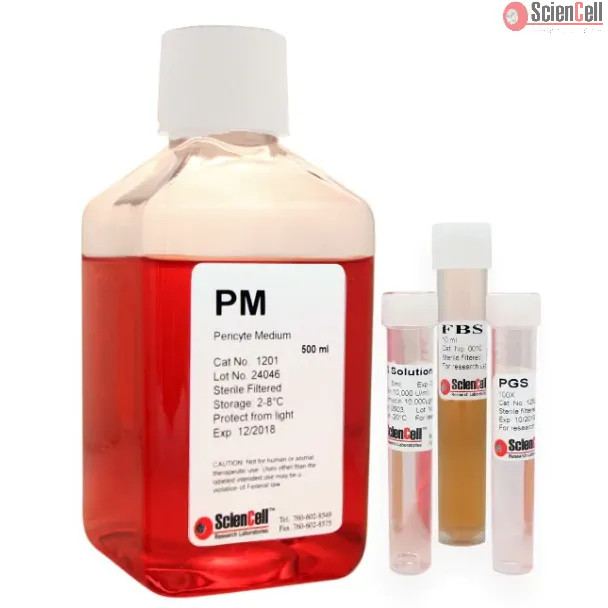 Pericyte Medium