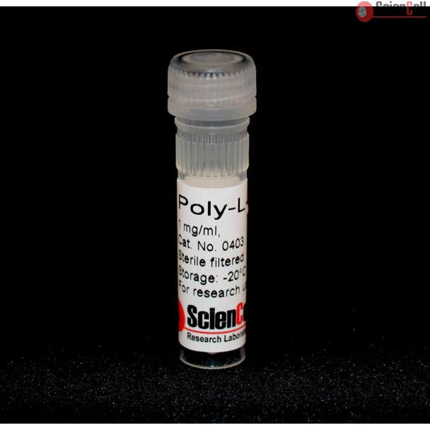Poly-L-Lysine Solution (PLL), 1 mg/ml.