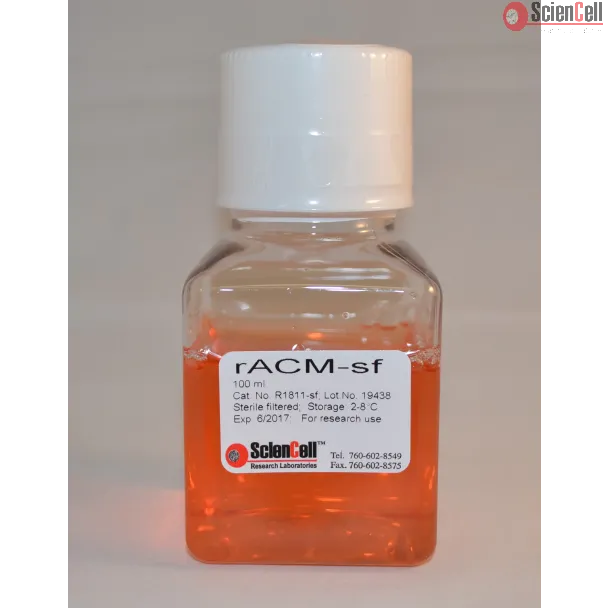 Rat Astrocyte Conditioned Medium-Serum Free 