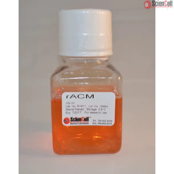 Rat Astrocyte Conditioned Medium
