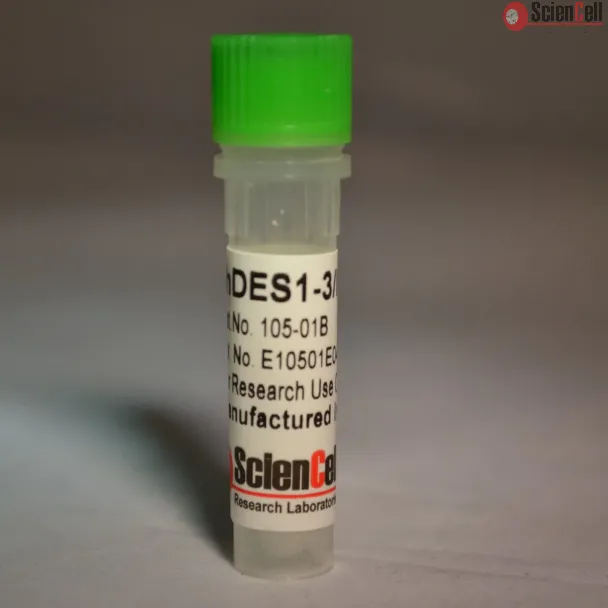 Recombinant Human DES (1-3) IGF-1