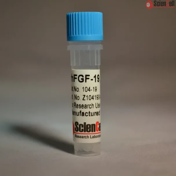 Recombinant Human Fibroblast Growth Factor-19