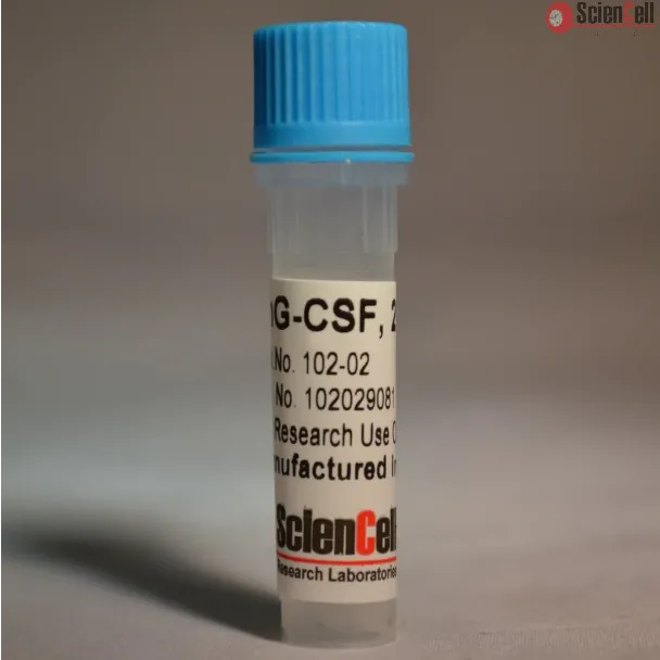 Recombinant Human Granulocyte Colony Stimulating Factor