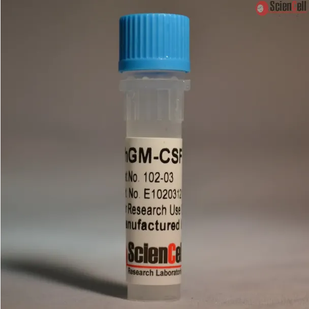 Recombinant Human Granulocyte Macrophage Colony Stimulating Factor