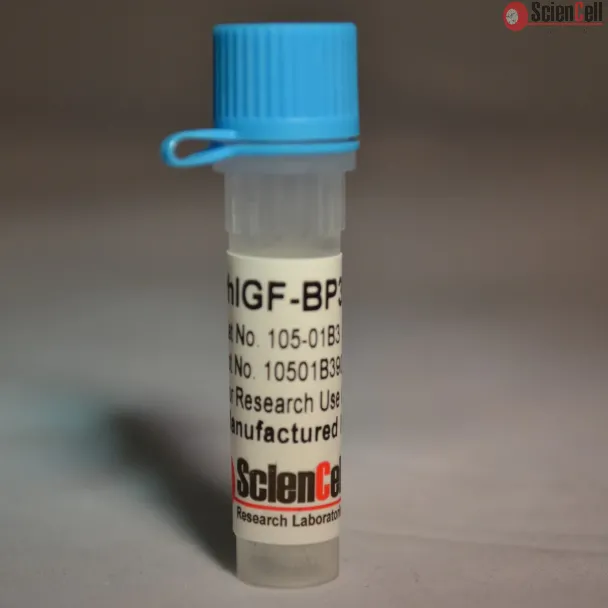 Recombinant Human IGF-BP3