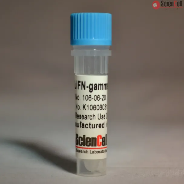 Recombinant Human Interferon-gamma 