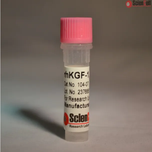  Recombinant Human Keratinocyte Growth Factor-1