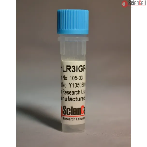 Recombinant Human Long R3 Insulin-like Growth Factor-1