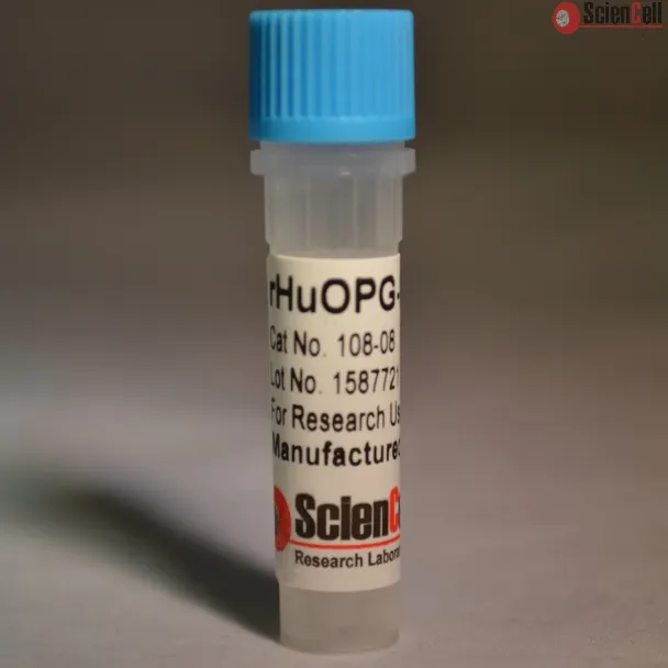 Recombinant Human Osteoprotegerin/Fc Chimera