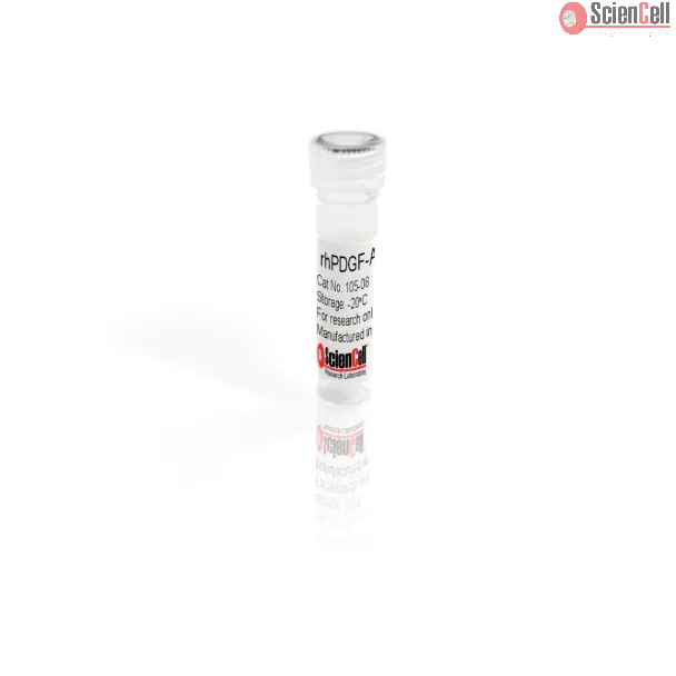 Recombinant Human Platelet-derived Growth Factor-AA