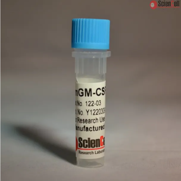 Recombinant Murine GM-CSF
