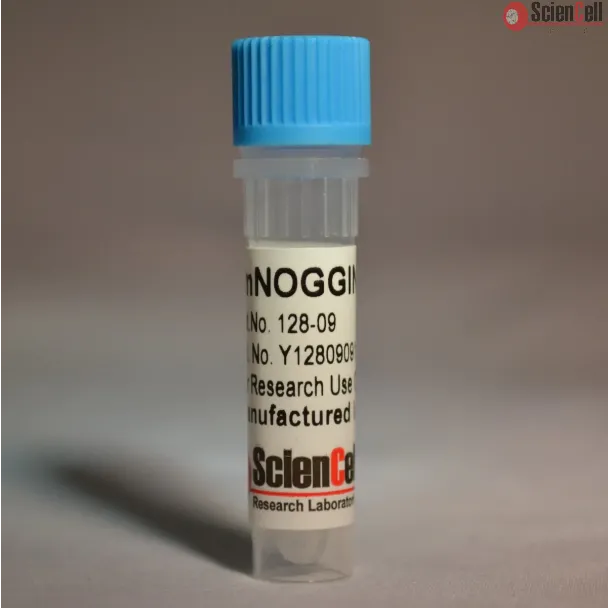 rmNOGGIN