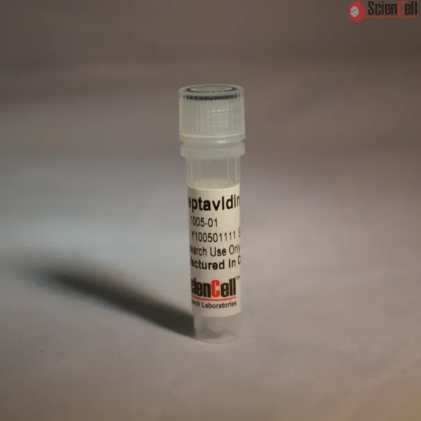 Recombinant Streptavidin