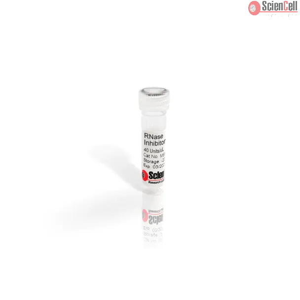 RNase Inhibitor, Murine
