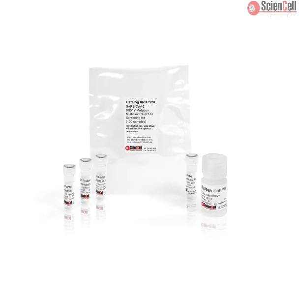 SARS-CoV-2 N501Y Mutation Multiplex RT-qPCR Screening Kit