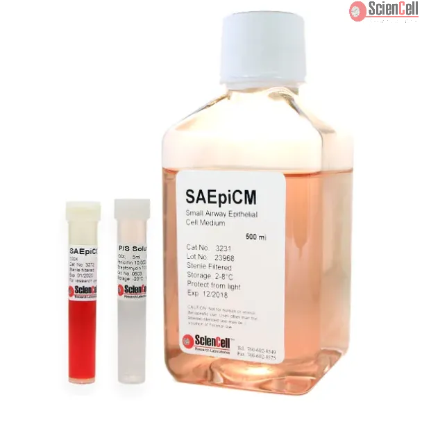 Small Airway Epithelial Cell Medium