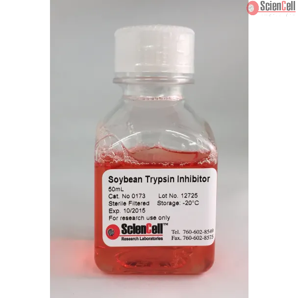 Soybean Trypsin Inhibitor