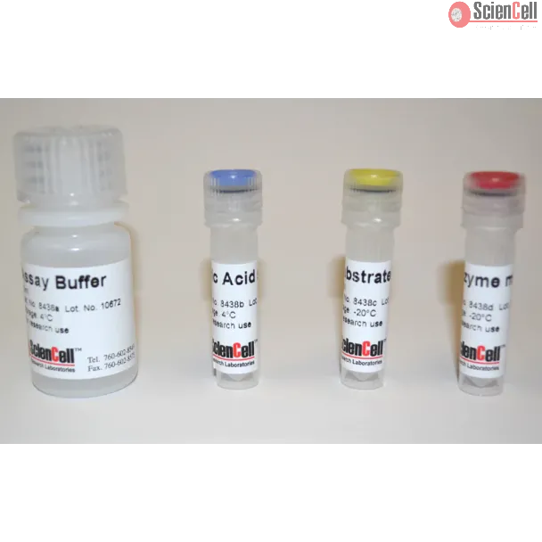 Uric Acid Assay
