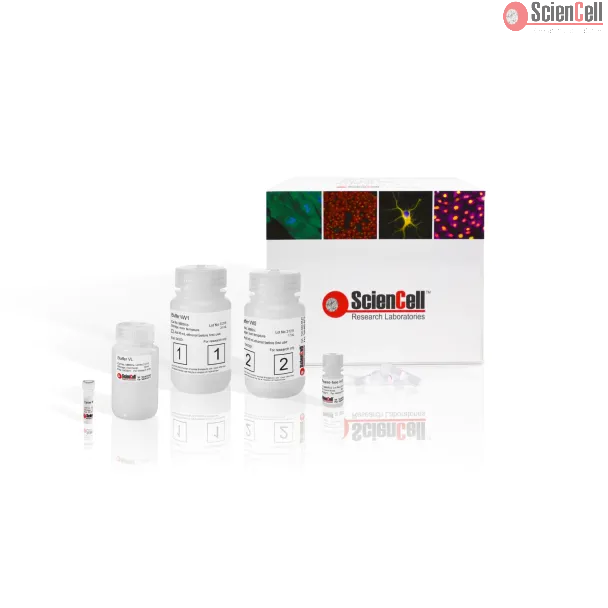 Viral-RNA-Isolation-Kit , vRNAEx