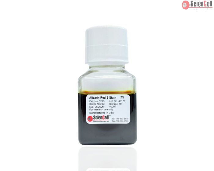 Alizarin Red S Staining Kit