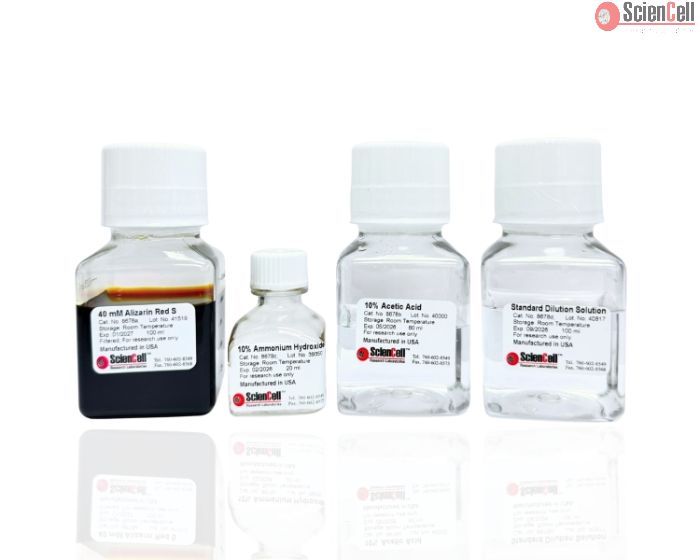Alizarin Red S Staining Quantification Assay