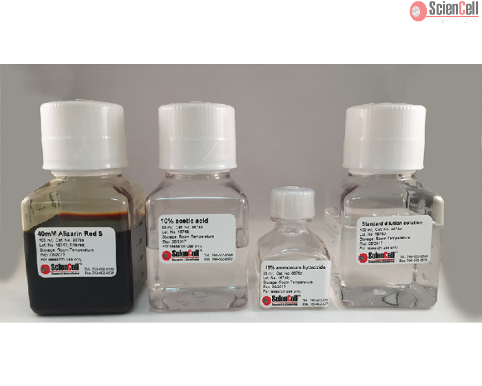 Alizarin Red S Staining Quantification Assay