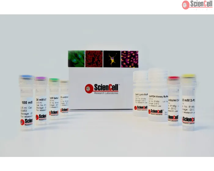 Colorimetric GAPDH Assay