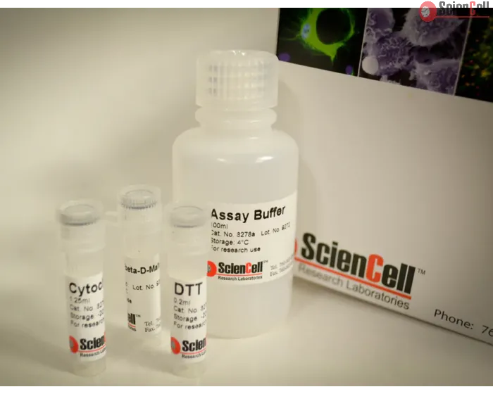 Cytochrome C Oxidase Assay