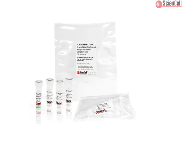 EmeraldNStart Site-Directed Mutagenesis Kit, 20 reactions