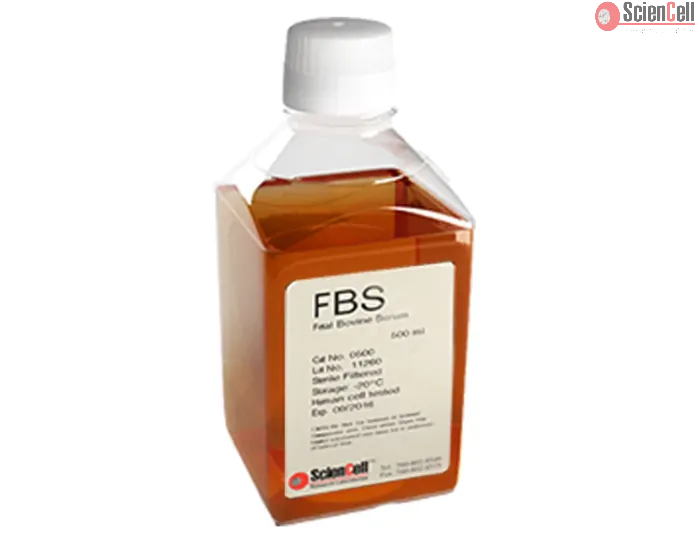 Fetal Bovine Serum, 500 ml