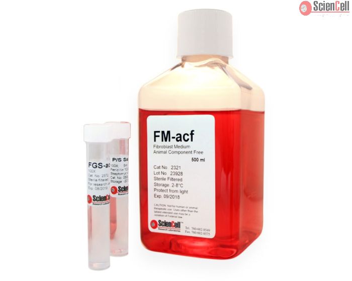 Fibroblast Medium-animal component free