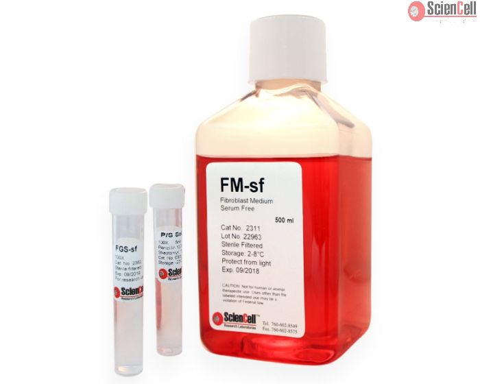Fibroblast Medium-serum free