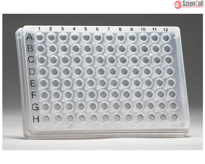 GeneQuery™ Human Angiogenesis qPCR Array Kit (GQH-ANG)