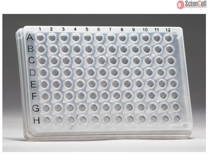 GeneQuery&trade; Human Astrocyte Cell Biology qPCR Array Kit