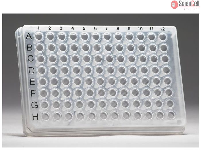 GeneQuery™ Human Hippo Signaling Pathway qPCR Array Kit