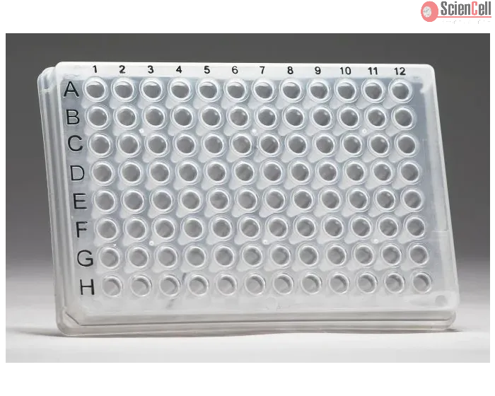 GeneQuery™ Human Pericyte Biology qPCR Array Kit (GQH-PER) Catalog #GK081