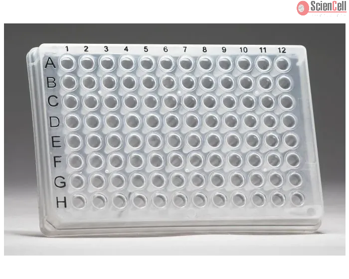 GeneQuery™ Human Regulation of Cancer Immune Evasion qPCR Array Kit (Plate 2 of 2)